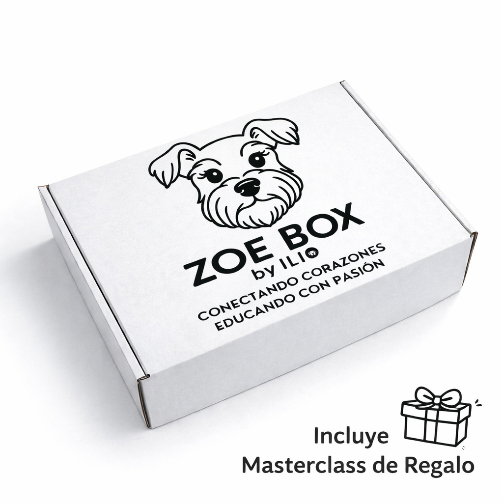 La Zoe Box (Mediano/Grande) | Pack de Calma Activa y Bienestar Cognitivo
