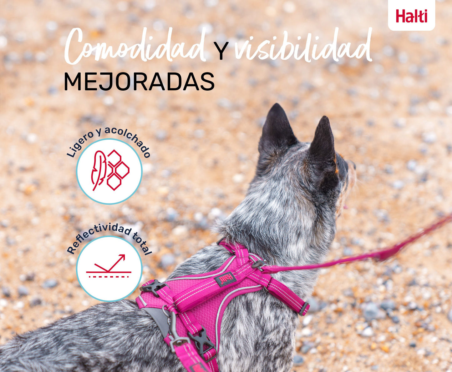 Arnés Anatomy para perro - Magenta Halti