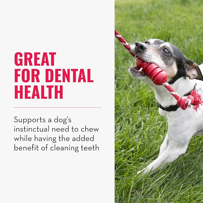 KONG Dental con Cuerda