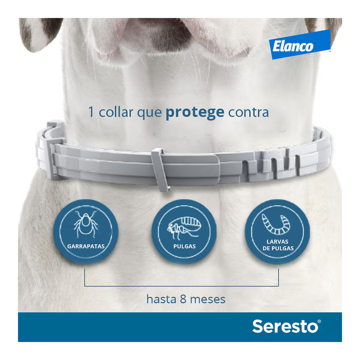 Seresto Collar Antiparasitario para perros