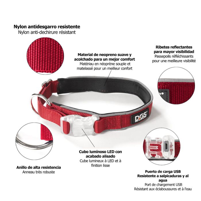 Dog Gone Smart Collar Comet Luminoso Recargable USB  Rojo