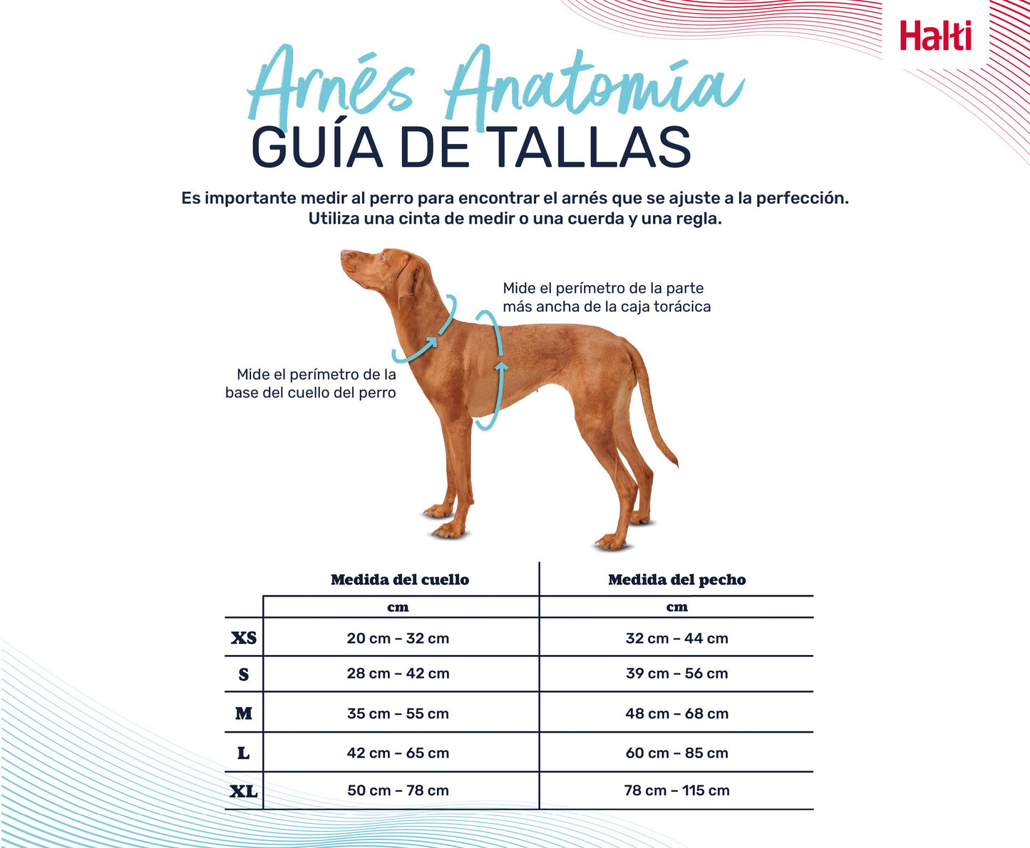 Arnés Halti Anatomy para perros gris