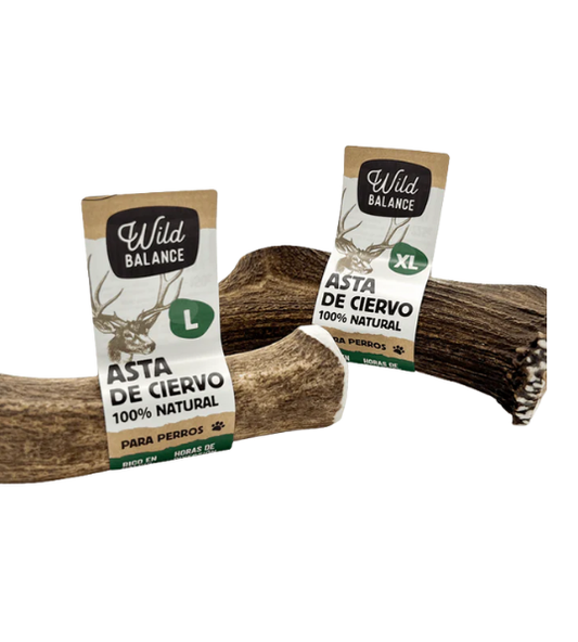 Asta de Ciervo 100% Natural – Wild Balance