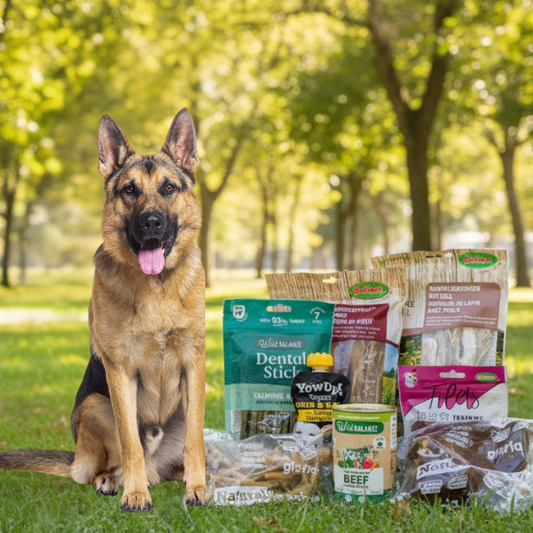 La Zoe Box (Mediano/Grande) | Pack de Calma Activa y Bienestar Cognitivo