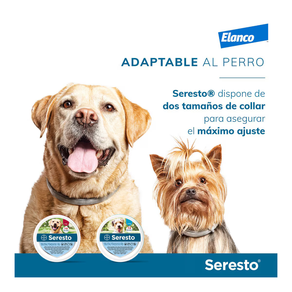 Seresto Collar Antiparasitario para perros
