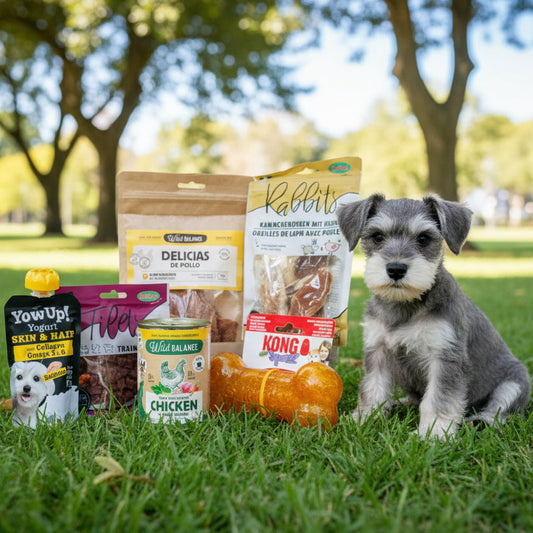 La Zoe Box Cachorro | Kit de Calma Activa y Evolución Cognitiva