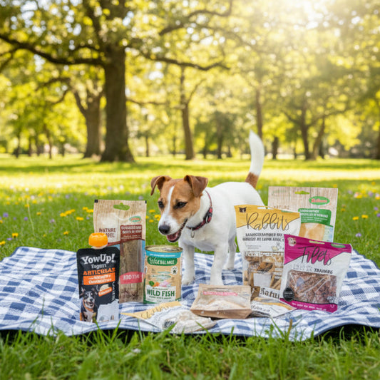 ZOE BOX Mini – Ritual de calma para perros pequeños