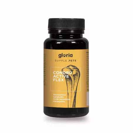 CondroActive Flex Gloria