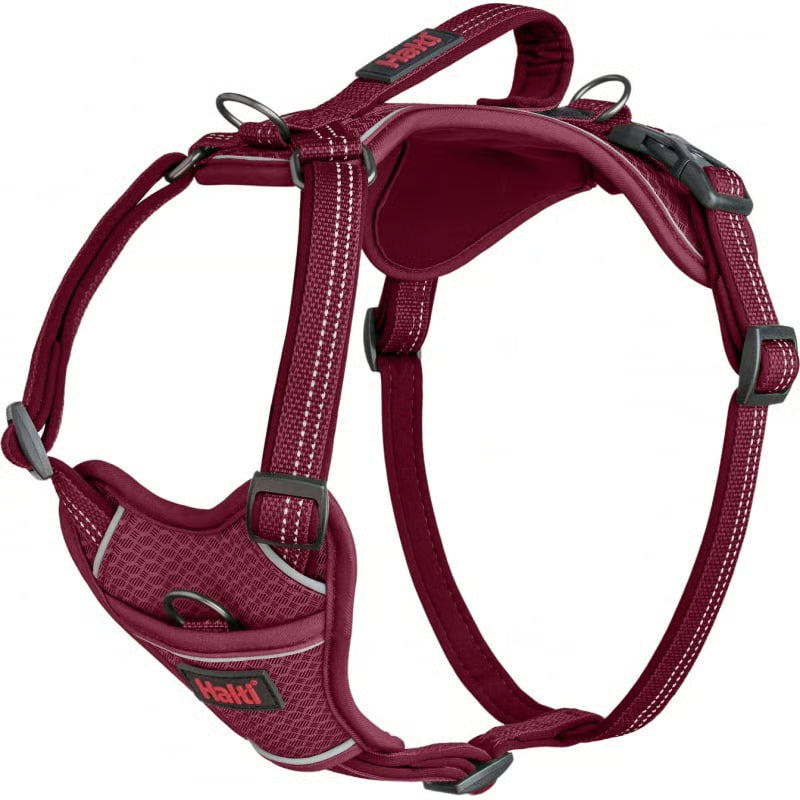 Arnés Anatomy para perro - Magenta Halti