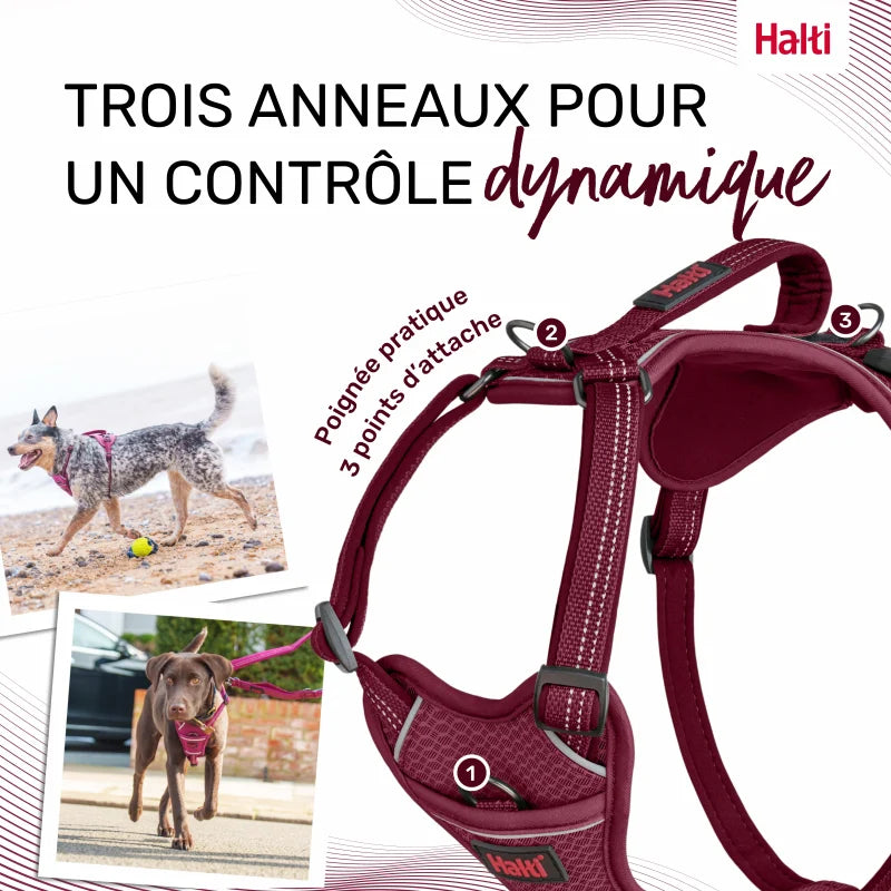 Arnés Anatomy para perro - Magenta Halti