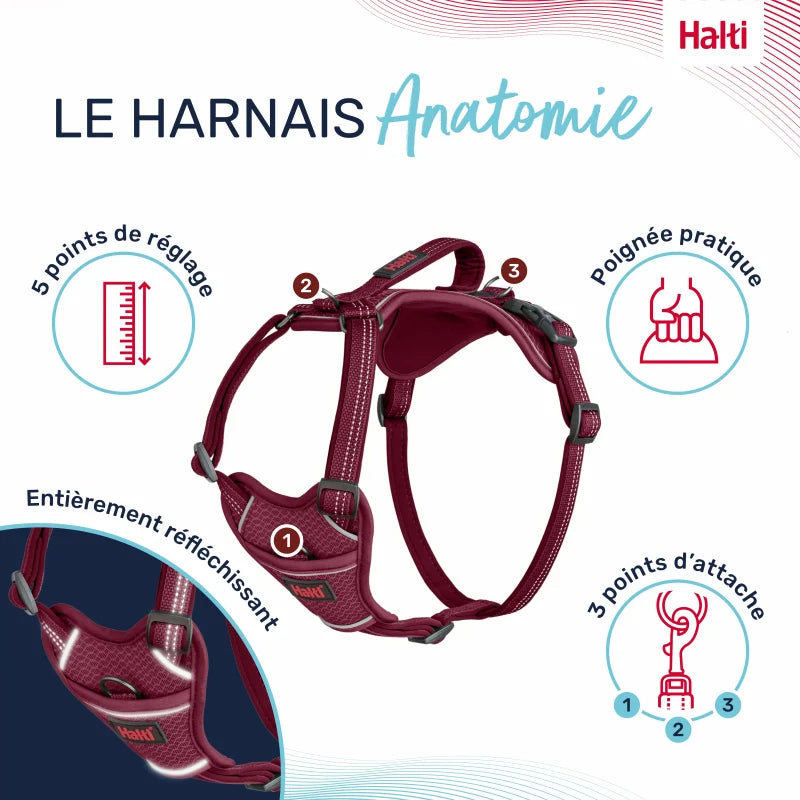 Arnés Anatomy para perro - Magenta Halti